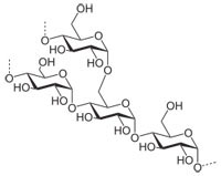 amylopectin molecular structure
