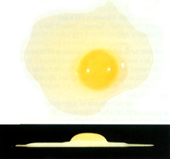 Picture of Grade A egg