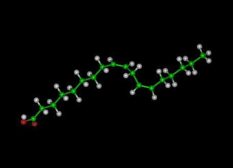 linoleic acid molecule
