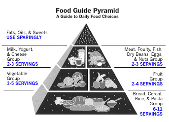 Picture of Food Pyramid