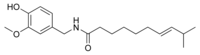 Chemical structure of homocapsaicin