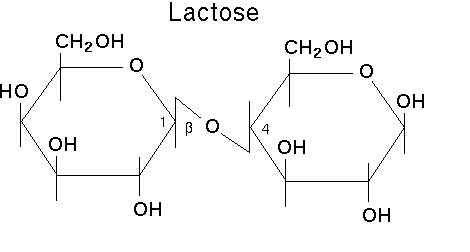 Lactose structure