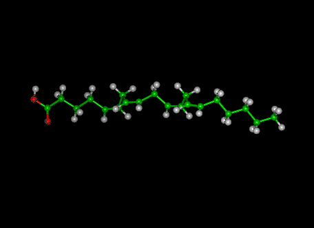 arachidonic acid molecule
