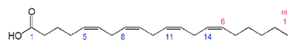 arachidonic acid structure 