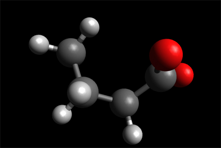 omega-6 fatty acid - arachidonic acid