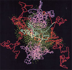 casein micelle