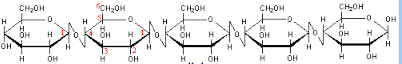 celluloe 1,4 linkage