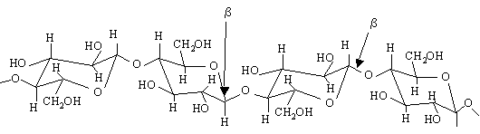 cellulose structure with hydrogen bonds
