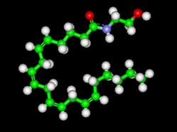 anandamide molecule in chocolate