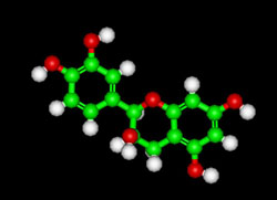 epicatechin molecule in chocolate