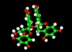 procyanidin molecule in chocolate