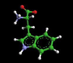 gtryptophan molecule in chocolate