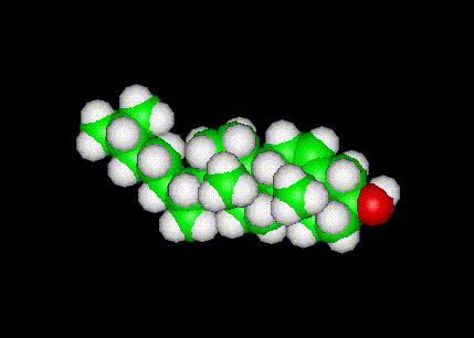 Cholesterin-Molekül