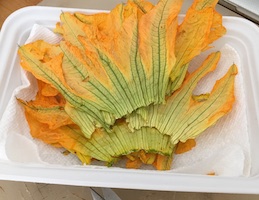 layers of zucchini blossoms in dehyrator