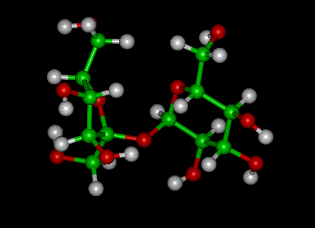 sucrose molecule ball and stick