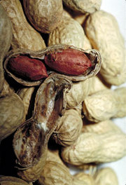 Peanuts, showing legumes, one split open revealing two seeds with their brown seed coats