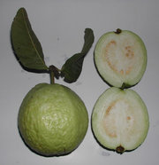 Guava fruit