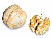 Persian Walnut nuts