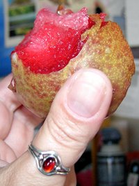 "Pluot, possibly Flavor King"