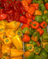 Assorted paprika fruits from Mexico