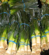 Leeks available for purchase.