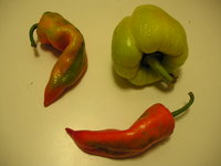 Paprika peppers come in various shapes and colors