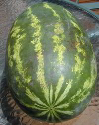 Watermelon