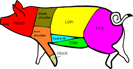 Cuts of Pork 