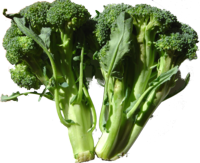 broccoli