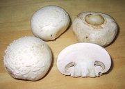 Cultivated white mushrooms from the supermarket