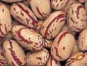 Photo of Cranberry beans