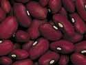 Photo of Small Red Kidney beans