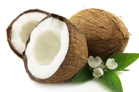 coconut fruit - Brazil 