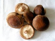 coconut fruit - Brazil 