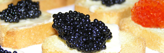 sturgeon caviar 