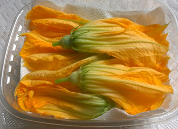 union square  zucchini flower