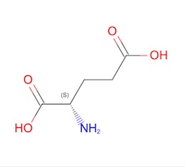 glutamic acid