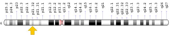 HLA Chromosome 6 region