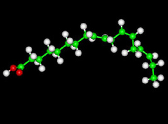 omega3 fatty acid ALA molecule