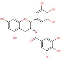 ECGC molecule
