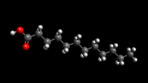 lauric acid molecule