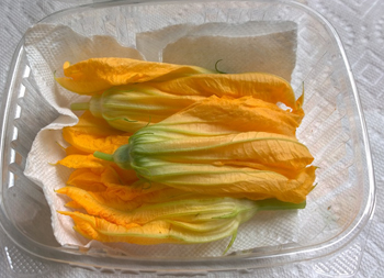 union square  zucchini flower