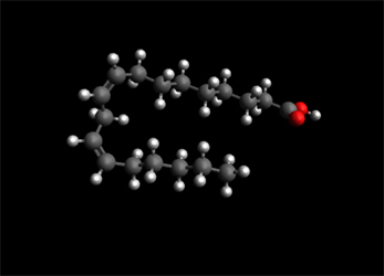 linoleic acid molecule