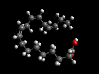 linolenic acid molecule