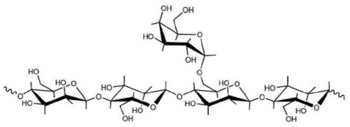 locust bean structure