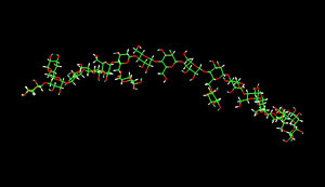 locust bean molecule