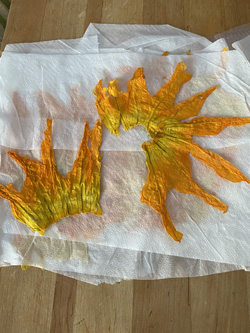 union square  zucchini flower dehydrated and frozen