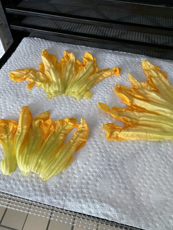 layer blossoms on a paper towel layered over plastic hold