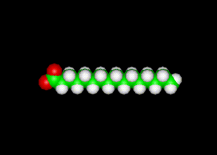 palm,itic acid molecule