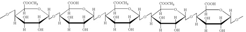 molecule of pectin